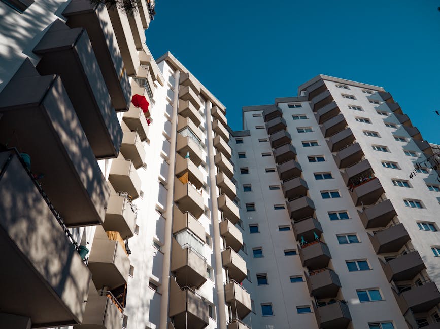 Kitchen and dining area organization
